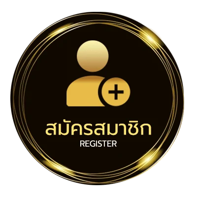 สมัครง่าย เน็ตวันทูคอ9บาท ง่ายสุด ๆ